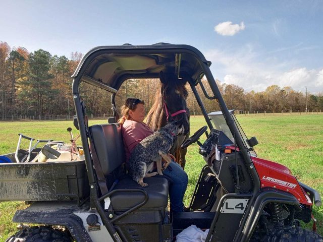 314618146 675455770639180 3399393276347699252 n