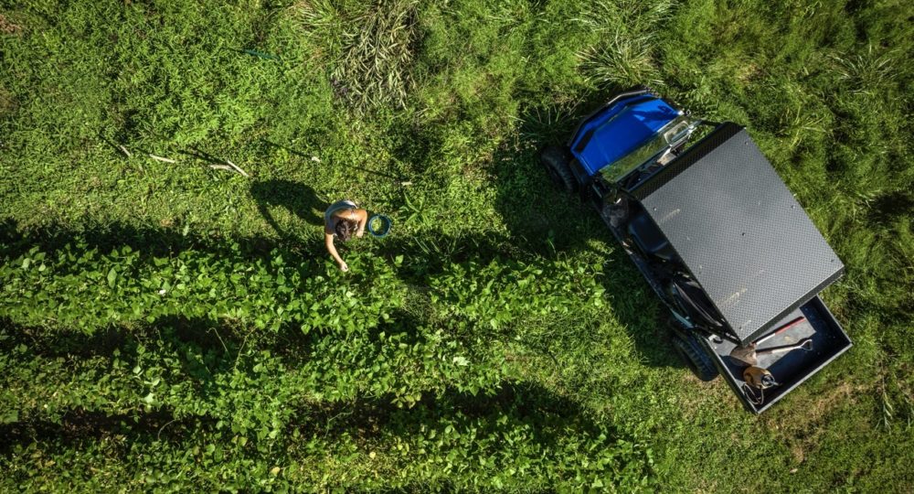 Landmaster-AMP-Gardening