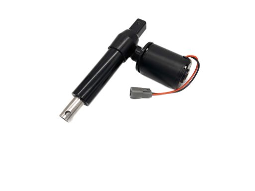 18731 Background Removed