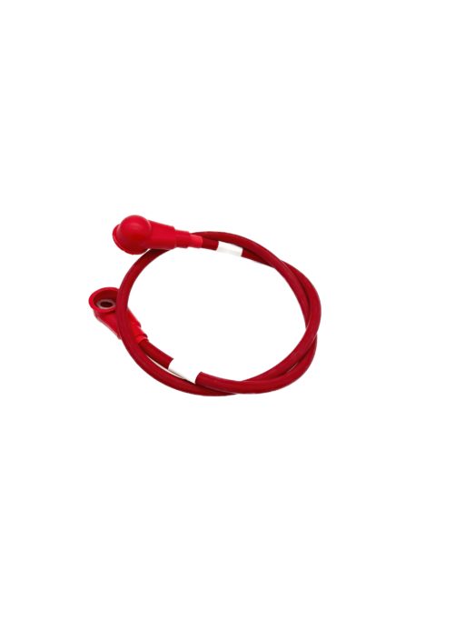 19966 Background Removed